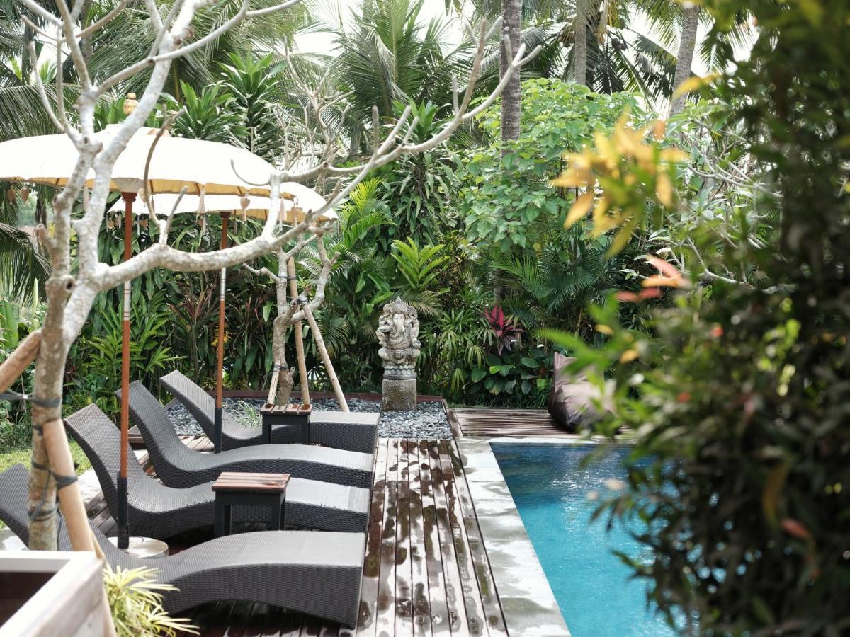 Suarsena Bisma Hotel Ubud Buitenkant foto